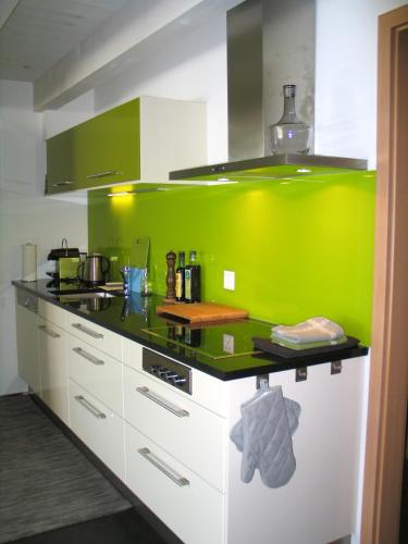 a kitchen with a green and white counter top at Artist's Loft zur Maloya in Ormalingen
