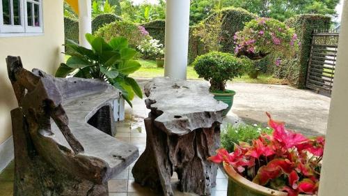 Zahrada ubytování Homestay Petrajaya Kuching