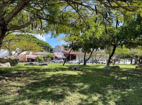 En have udenfor Oasis sensory Room - Market 28