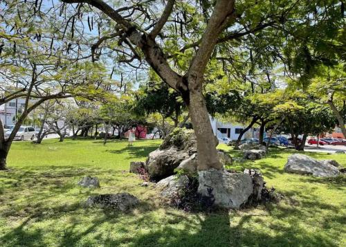 Billede fra billedgalleriet på Oasis sensory Room - Market 28 i Cancún