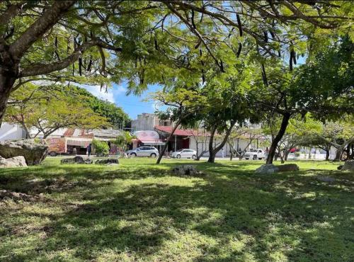 Billede fra billedgalleriet på Oasis sensory Room - Market 28 i Cancún