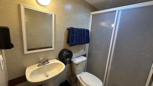 a bathroom with a toilet and a sink and a shower at Maison Pascual - Centro Histórico in San Luis Potosí