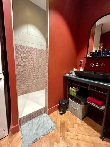 La salle de bains est pourvue d'une porte de douche en verre avec un miroir. dans l'établissement Appartement de caractère 6 pers - hyper centre de Lyon, à Lyon