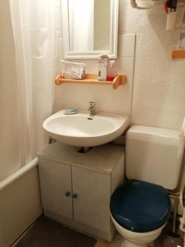 une petite salle de bain avec un lavabo et des toilettes dans l'établissement appartement montagne la vallée verte cœur station Hirmentaz, à Bellevaux