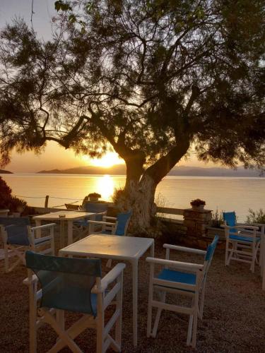 Φυσικό τοπίο κοντά σε αυτό το διαμέρισμα