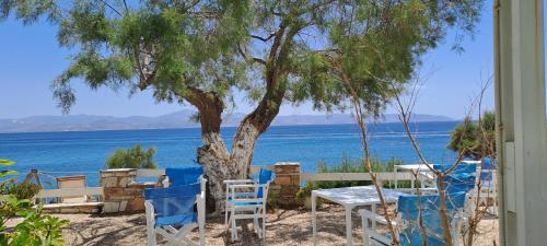 Φυσικό τοπίο κοντά σε αυτό το διαμέρισμα