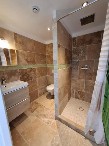 une salle de bain avec douche et toilettes dans l'établissement A 10 mn de moustiers st marie lac st croix parc national du verdon, à Roumoules