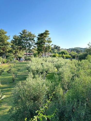 Paisaje cerca de esta villa