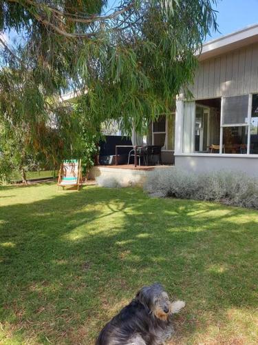 a dog laying in the grass in front of a house at Number10 Mid Century Holiday House in Orford