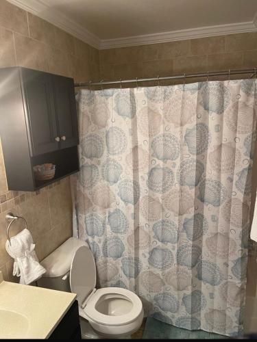 a bathroom with a toilet and a shower curtain at The pearl Island2 in Davenport