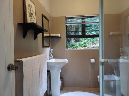 ein Badezimmer mit Waschbecken und Toilette und einem Fenster in der Unterkunft Buckingham Cottage in Pinetown