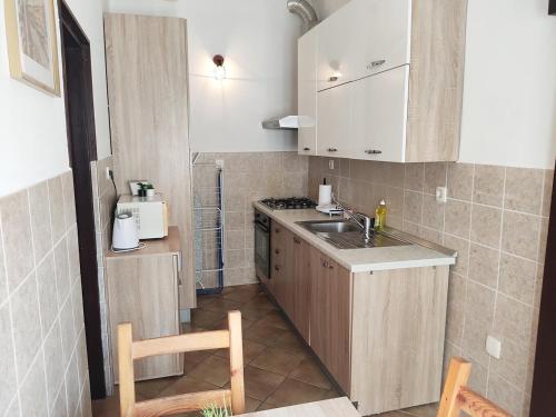 małą kuchnię ze zlewem i kuchenką w obiekcie Zagreb Creative Apartments APP 4 w Zagrzebiu