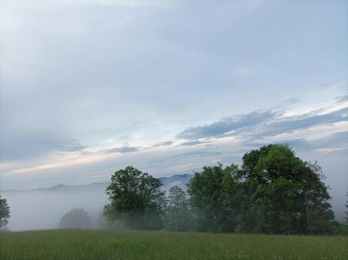 a field with trees and fog in the background at chaloupka Karolinka in Karolinka