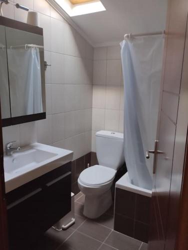 a bathroom with a toilet and a sink and a shower at Christina Apartment in Stavros