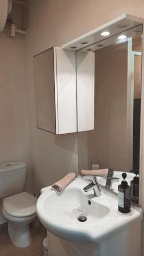 a bathroom with a sink and a toilet and a mirror at Beautiful F2 apartment 5 stops by train from Paris in Moret-sur-Loing