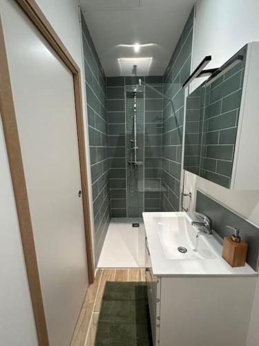 une salle de bain avec un lavabo et une douche dans l'établissement Studio 2 personnes Béthune Centre, à Béthune