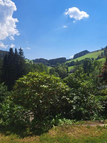 Fotografie z fotogalerie ubytování Baumgartner - Bauernhaus v destinaci Weißkirchen in Steiermark