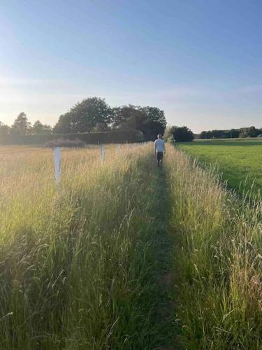 a man walking down a path through a field at Kämpingestranden in Höllviken