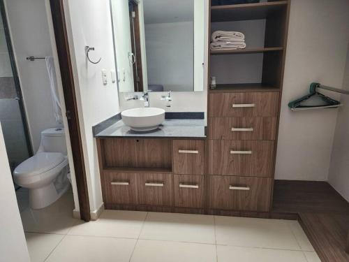 ein Badezimmer mit Waschbecken und Toilette in der Unterkunft Amplitud y Confort al Sur de Guadalajara in Los Gavilanes