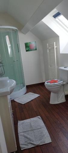une salle de bain avec une douche, des toilettes et un lavabo dans l'établissement Bienvenue au Faré Hibiscus, à Corrombles