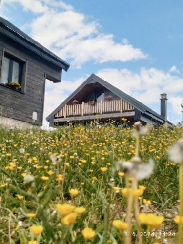 a field of flowers in front of a house at Adria Nord Chalets in Žabljak