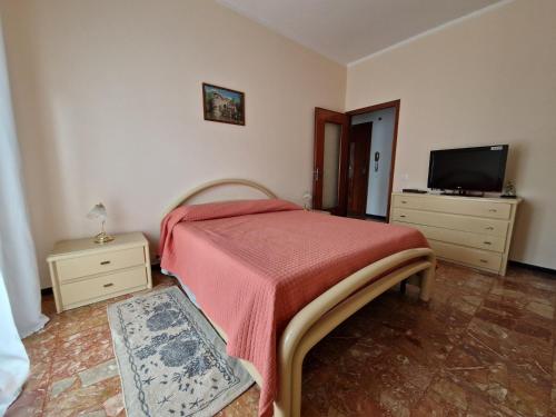 sypialnia z łóżkiem z czerwonym kocem i telewizorem w obiekcie Casa di Andreea e Bogdan w Albendze