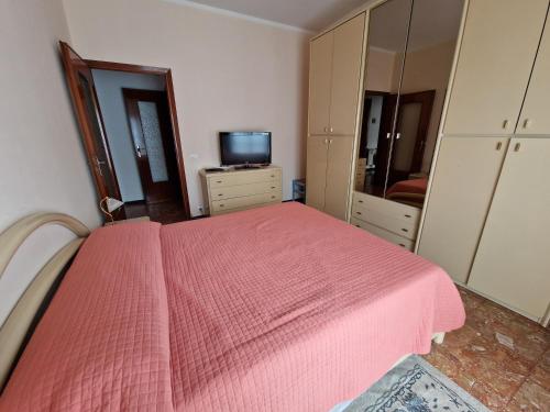sypialnia z różowym łóżkiem i telewizorem w obiekcie Casa di Andreea e Bogdan w Albendze