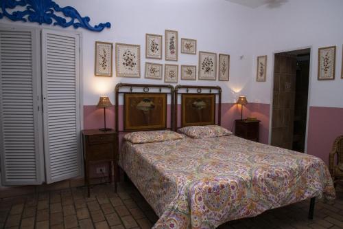 a bedroom with a bed and pictures on the wall at La Limonaia a mare in Ponza