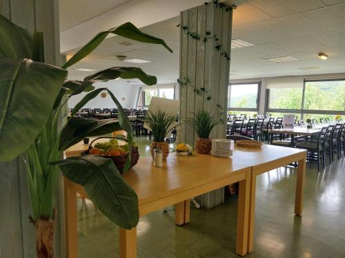 - une table dans un restaurant avec une plante dans l'établissement VVF Le Lioran Les Monts du Cantal, à Saint-Jacques-des-Blats
