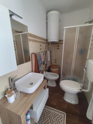a bathroom with a sink and a toilet and a shower at La Ca del Bicc in Luino