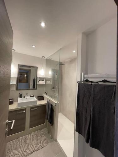 une salle de bain avec une douche, un lavabo et un miroir dans l'établissement SUPERBE APPARTEMENT Terrasse PISCINE ET TENNIS, à Antibes