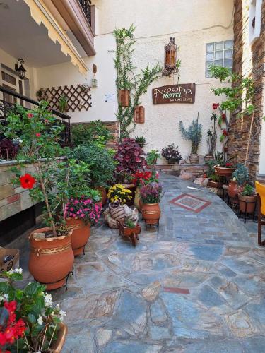 a courtyard with potted plants and flowers in a building at Akrotiri Hotel in Neos Marmaras