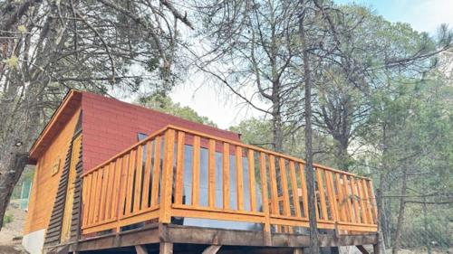 Glamping MORET Tiny House M1