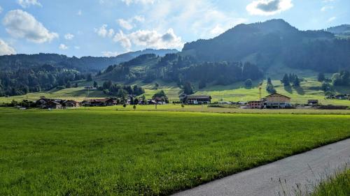 a field of green grass with mountains in the background at Ferienwohnung Alpenglück in Bolsterlang Sommerbergbahn kostenlos in Bolsterlang