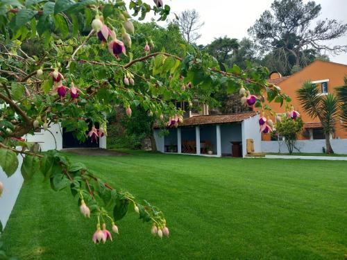 a yard with a house and a green lawn at Villa in Sintra - Casa da Penha Ferrim in Sintra