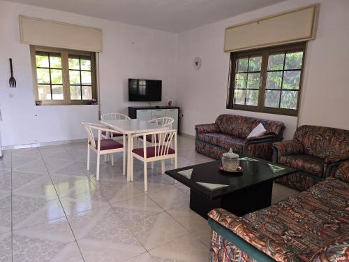 a living room with a couch and a table at Haus mit Garten nähe Olymp & Strand, ruhige Lage in Néa Éfesos