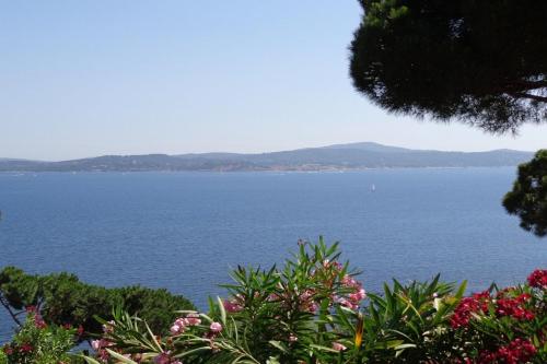 une vue sur une grande étendue d'eau dans l'établissement Vue sur St Tropez, à Sainte-Maxime