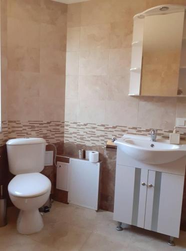 a bathroom with a toilet and a sink at Kalina i Sokol spa in Pchelin