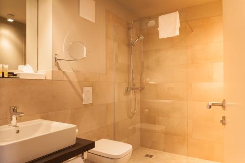 a bathroom with a shower and a toilet and a sink at Hotel Platzhirsch in Fulda