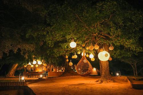 a tree with strings of lights on it at night at Yakaduru - Yala in Yala
