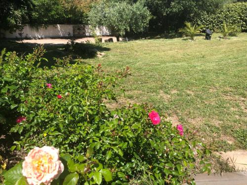 Giardino di Villa QUINISSOLE