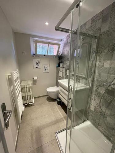 une salle de bain avec douche et toilettes dans l'établissement Villa Provençale 4 étoiles - Piscine & Jardin Zen, à Sainte-Maxime