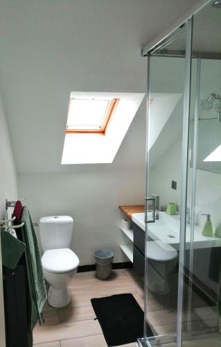 La salle de bains est pourvue de toilettes, d'un lavabo et d'une lucarne. dans l'établissement Appartement 55m2 dans maison, à Gruffy