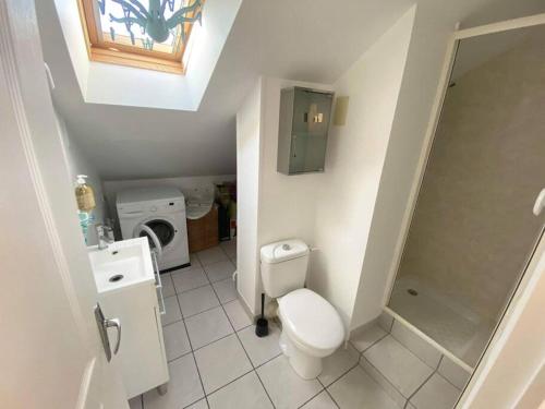 une petite salle de bain avec toilettes et lavabo dans l'établissement Le nid citadin - avec place de parking, à Tours