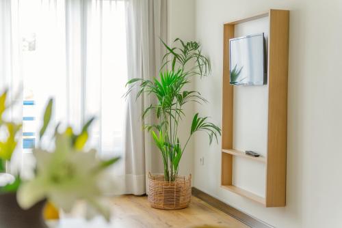 Gambar di galeri bagi Apartamentos Dunas de Liencres di Boó de Piélagos