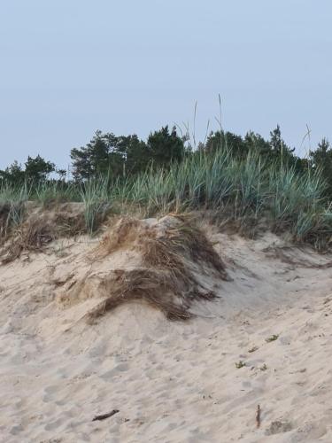 a pile of sand on top of a beach at Vila Šventoji in Šventoji