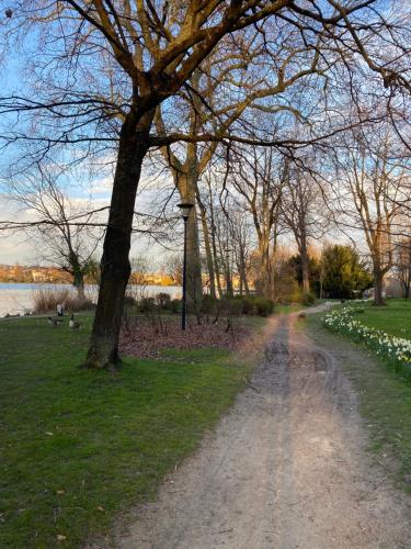 a dirt road in a park next to a tree at Appartement lumineux 4 personnes in Enghien-les-Bains