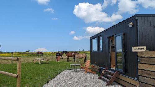 Tiny House La Cavalerie, au milieu des chevaux !