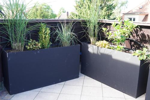 two black containers filled with plants on a patio at Bon Ton in Szczecin
