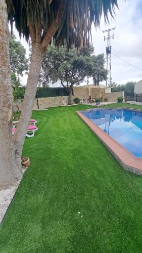 a green yard with a swimming pool and a tree at Casa Albarracín in Setenil